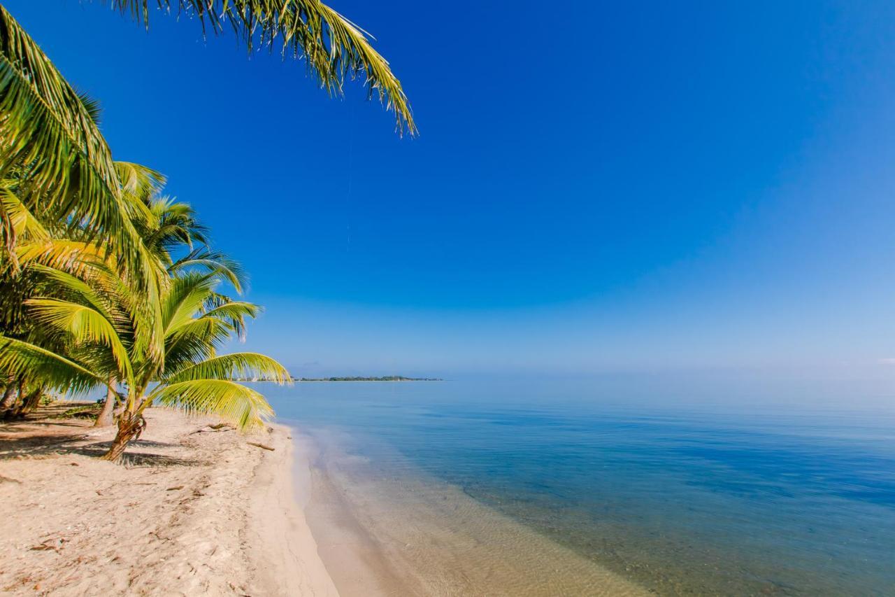 Khalkob'S Estate Daire Placencia Dış mekan fotoğraf
