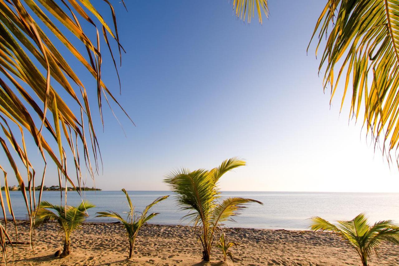 Khalkob'S Estate Daire Placencia Dış mekan fotoğraf